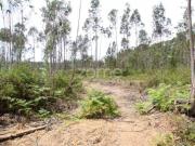 Albergaria Albergaria 87073807