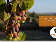 Albergo in vendita a Alghero