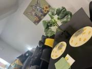 Albert Square, Lenton, Property for rent