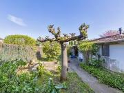 Albi 81000 Location maison 6 pièces t6 terrasse parking