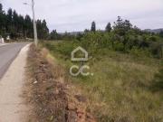 Alcobaça Leiria 81268270