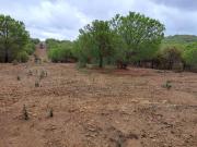 Alcoutim Alcoutim 94011990