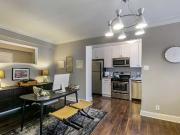 Alden Park Luxury Apartments Studio Apartment for Rent...