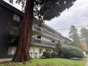 Alderwood 43 E 15th Avenue, Vancouver BC