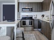 Alea Miami 2 Bedroom Apartment for Rent at 230 Northeast...