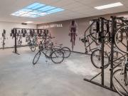 Alexan Webster 2 Bedroom Apartment for Rent at 2330...