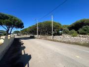 Alfaquiques, São João das Lampas Terreno Misto