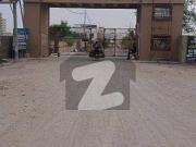 Ali garh 9a1 plot