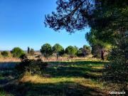 Alignan du Vent Vente Terrain 34