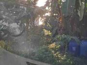 all in 273 sqm Greenwoods 6 Cainta Taytay cash term