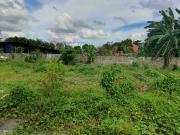 ALL IN Lot for Sale in Sumulong Meadowood Royale...