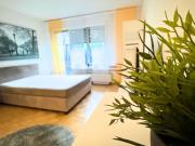 All inclusive business apartment at Düsseldorf Airport,...