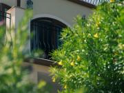 All inclusive villa