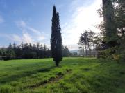 Allan Vente Terrain 26