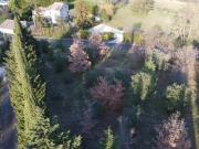 Allan Vente Terrain 26