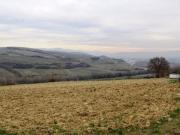 Allerona Vendesi terreno edificabile di 1 ha