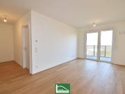 Alles was man sich wünscht – kostengünstige...