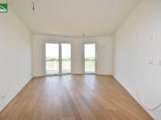 Alles was man sich wünscht – kostengünstige...