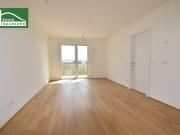 Alles was man sich wünscht – kostengünstige...