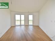 Alles was man sich wünscht – kostengünstige...