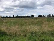 Allonnes 49650 Programme neuf terrain neuf à vendre