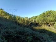 Almada Setúbal 2825 836 98135144