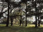 Almahue, nuevo barrio privado en Pilar con lotes financiados Almahue, nuevo barrio privado en Pilar con lotes financiados