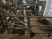 Almazara tradicional con Vivienda y Parcela de 13.000 m2