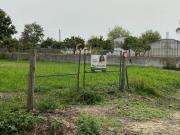 Almeirim Almeirim 100408735