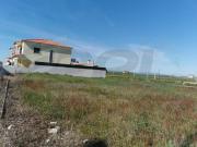 Almeirim Almeirim 99919118