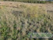 ALMOROX, FINCA RÚSTICA TOTALMENTE VALLADA CON CASA DE OBRA