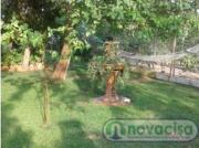 ALMOROX URBANIZACIÓN VALCARILLO CHALET CON PISCINA...