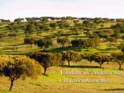 Alojamento de Charme com Destilaria em Sabóia Odemira