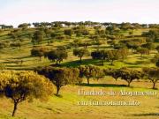 Alojamento de Charme com Destilaria em Sabóia Odemira