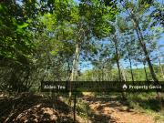Alor Gajah Paya Rumput For Sale