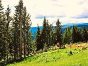 Alpen Baugrundstück, voll aufgeschlossen auf 1.250...