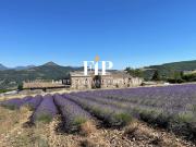 Alpes de Haute Provence Demeure de prestige 20 pièce s...