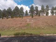 Alphaville Lagoa dos Ingleses Lote / Terreno à venda na...