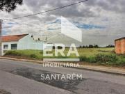 Alpiarça Alpiarça 95277243