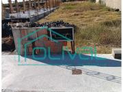 Alpiarça Alpiarça 95416412