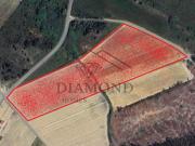 Alpiarça Alpiarça 97119995