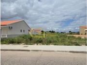 Alpiarça Alpiarça LS91354058