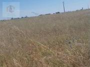 Alpiarça Alpiarça LS92497900