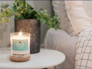 Alpine Lift in 3 Bdrm ~ 1 Bath Home Walk to John Paul...