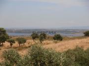 Alqueva, Magnifica Herdade com moradia T6 com piscina !