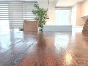 ALQUILA UNA PROPIEDAD EXCLUSIVA EN EL RECONOCIDO...