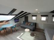 Alquiler 1 Dormitorio Apartamentos Burgos Burgos DS92420819