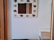 Alquiler 1 Dormitorio Apartamentos Madrid Madrid DLS77298482