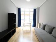 Alquiler 1 Dormitorio Apartamentos Madrid Madrid DS88651524