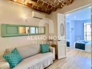 Alquiler 1 Dormitorio Apartamentos Madrid Madrid DS94747328